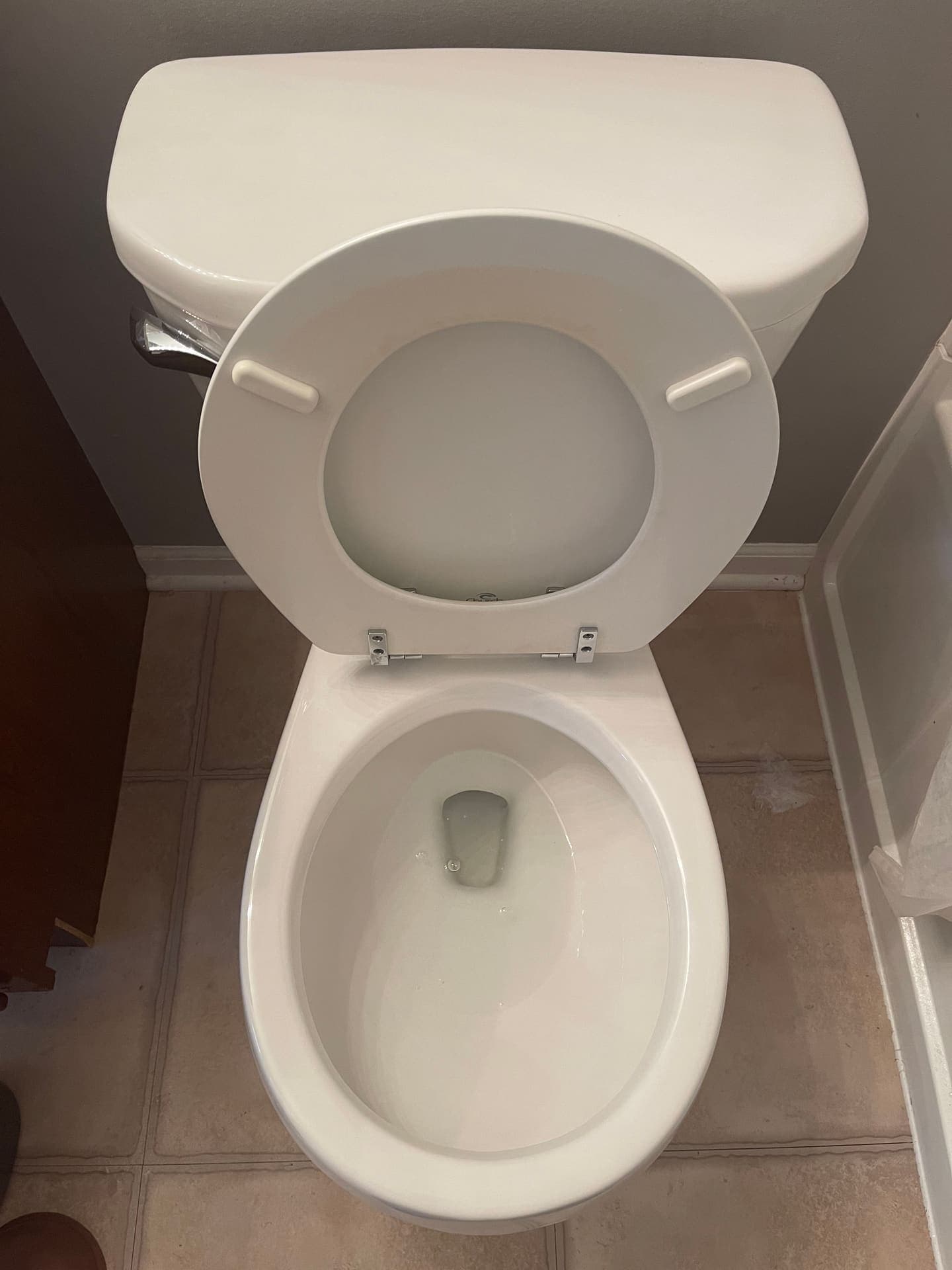Close-up of a spotless toilet bowl after a DSM Cleaning Solutions move-out clean